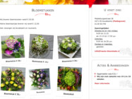 Website Ontwikkeling Freesie Bloemkado Koudekerke1